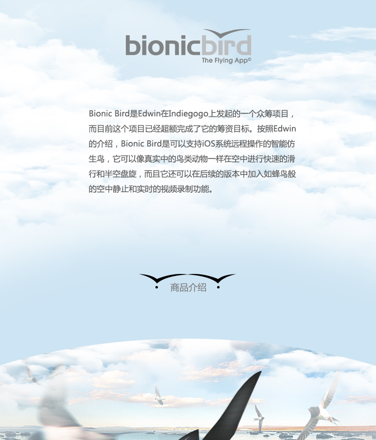 艾米娅 Bionic Bird 遥控仿真飞鸟