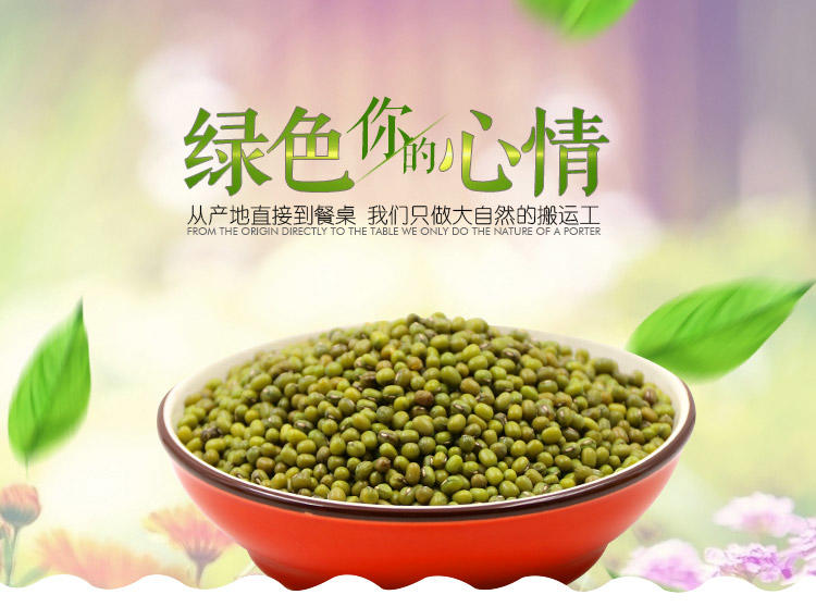 明记在心 绿豆糕点绿豆汤解暑原料五谷杂粮谷物新鲜绿豆400g