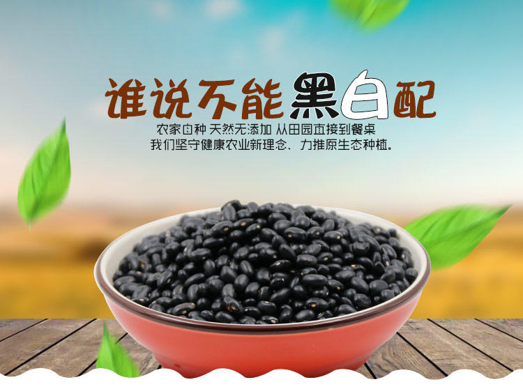 明记在心 白芯黑豆营养养发五谷杂粮新鲜黑豆400g