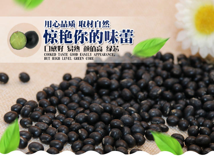 明记在心 小颗绿芯黑豆非黄芯五谷粗粮杂粮养生早餐青仁黑豆400g