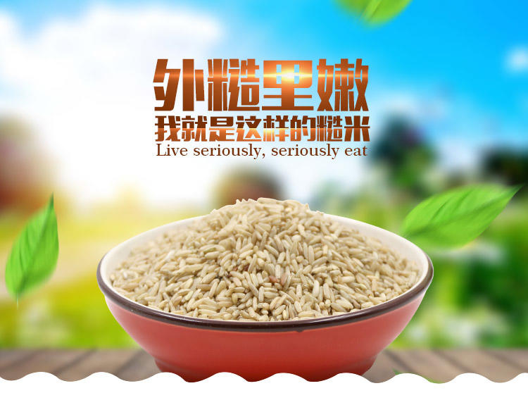 明记在心 糙米颗粒饱满养生大米五谷杂粮粗粮米玄米500g