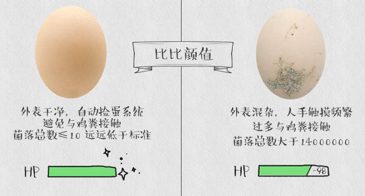 【明记鸡蛋】让土鸡蛋标准化当天新鲜禽蛋egg零抗蛋30枚/盒