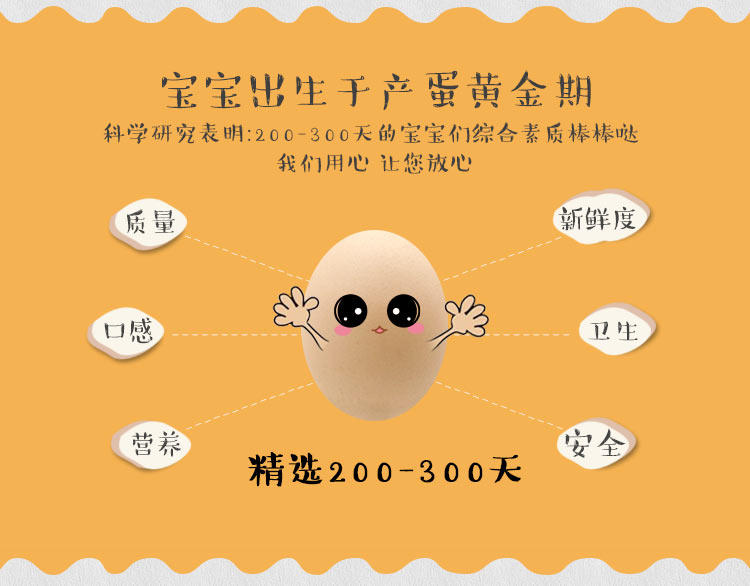 【明记鸡蛋】让土鸡蛋标准化当天新鲜禽蛋egg零抗蛋30枚/盒