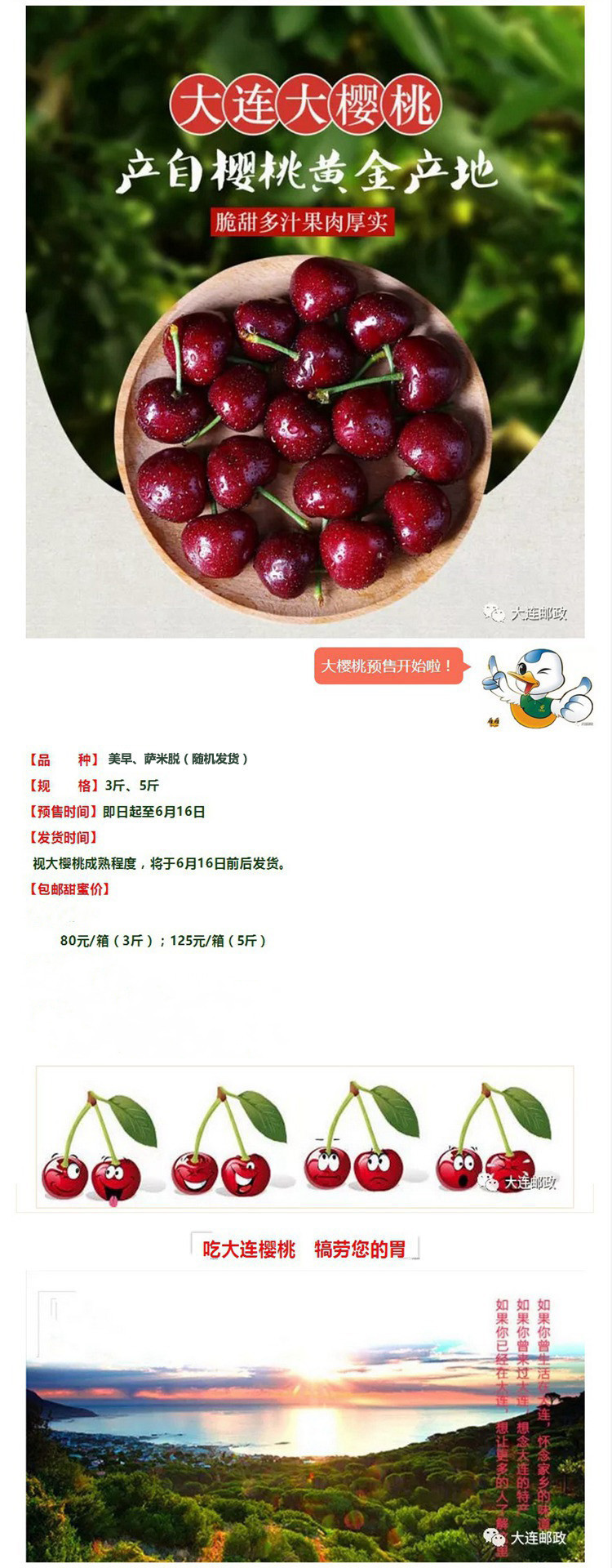 【葫芦岛馆】大连大樱桃（美早、萨米脱随机发货） 3斤装 辽宁省内包邮