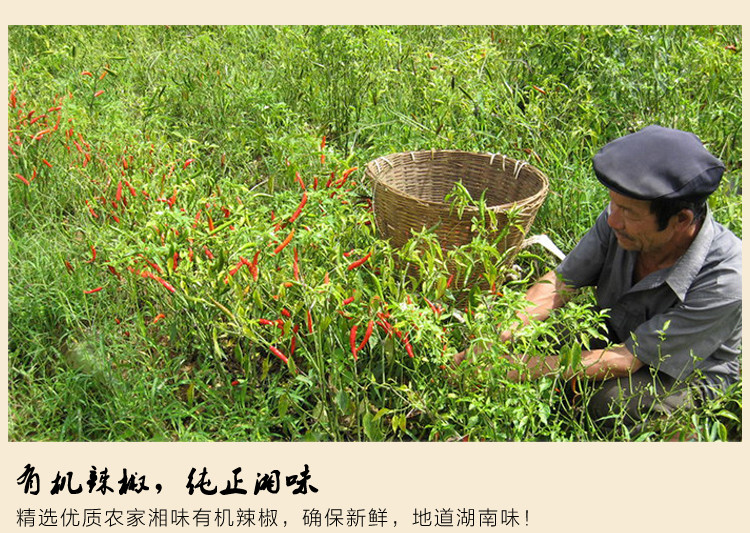 【永州馆】恒惠舜皇山土猪香辣肉丁2瓶装（辣）