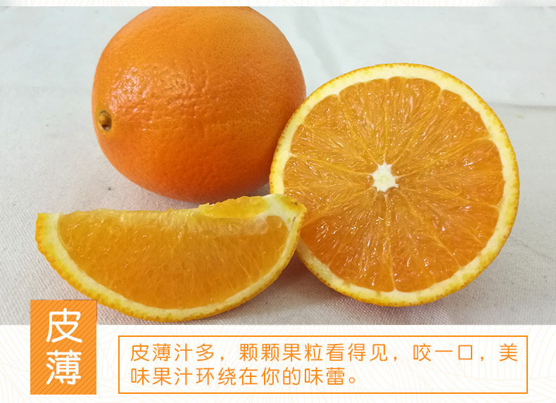 永州馆道州脐橙5斤装（偏远地区不发货）
