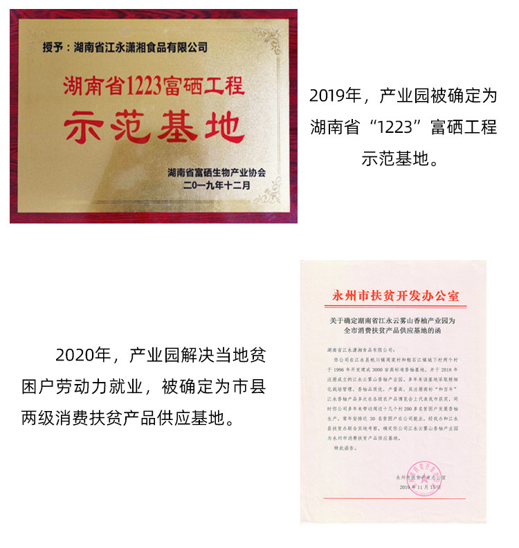 【邮政助农】湖南永州江永香柚（2个装）网袋装