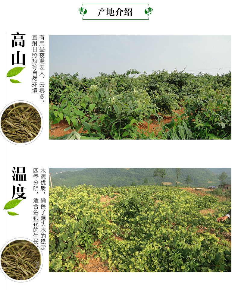  【宜都馆】横冲 金银花茶25g/罐 花草茶 一罐装 包邮