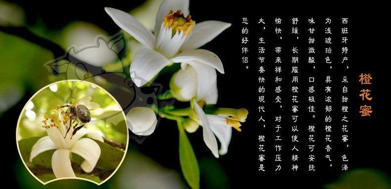 布罗家族 西班牙原装进口野生蜂蜜500g橙花蜜营养均衡正宗