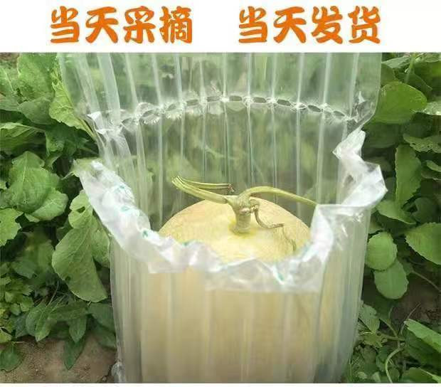 农家自产 【新疆邮政】莎车昆仑白玉瓜 3kg 蜜瓜肉质细腻 甜瓜