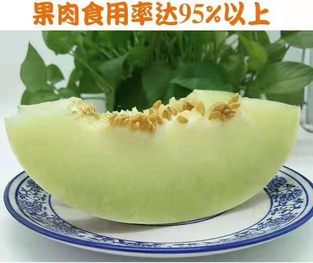 农家自产 【新疆邮政】莎车昆仑白玉瓜 3kg 蜜瓜肉质细腻 甜瓜