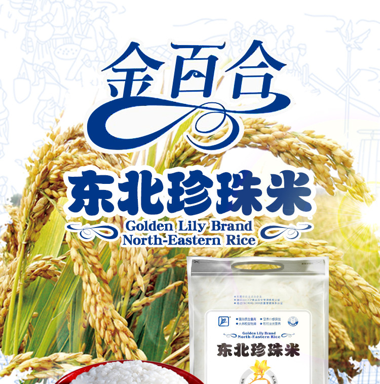 金百合 优选东北大米珍珠米香米 5kg