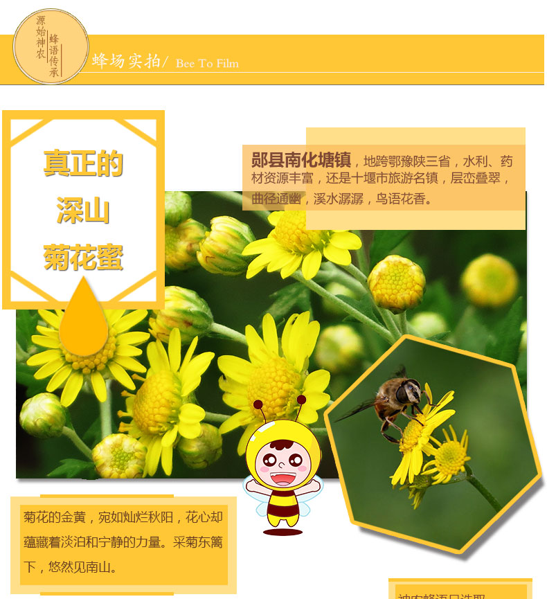 【神农蜂语】菊花蜂蜜500g 神农架农家产深山蜂蜜玻璃瓶装