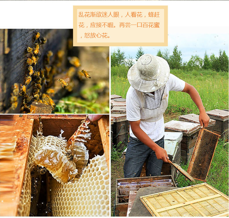 【神农蜂语 百花蜜500g】野生土蜂蜜 神农架农家自产玻璃瓶蜂蜜