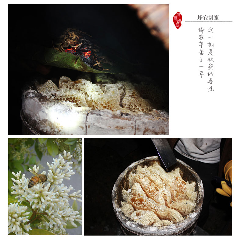 【神农蜂语 野生蜂蜜500g】野生土蜂蜜神农架深山成熟百花峰蜜