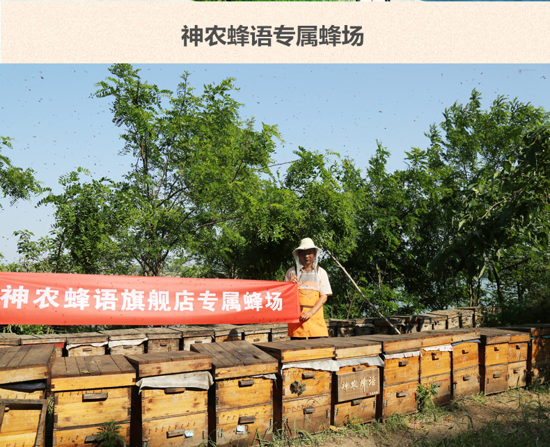  【神农蜂语   蜂蜜礼盒500g*2瓶】蜂蜜礼盒 神农架野山花蜜 百草蜂蜜