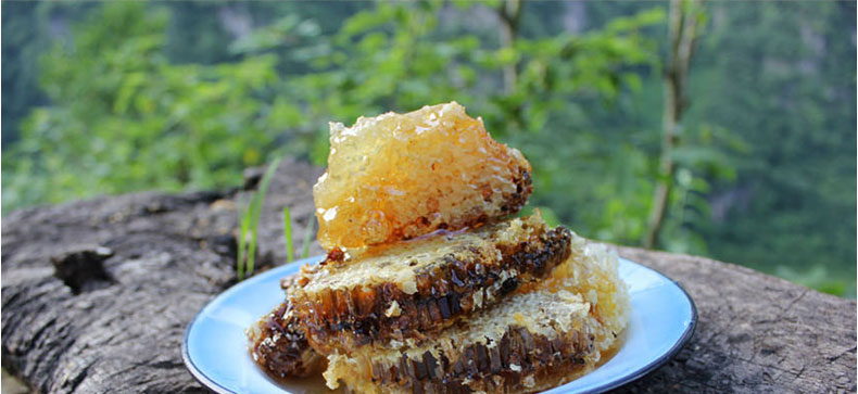 【神农蜂语 野生蜂蜜500g】野生土蜂蜜神农架深山成熟百花峰蜜