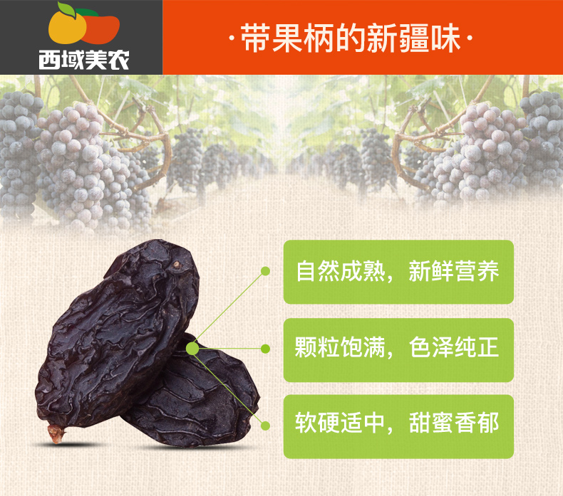 【西域美农－黑加仑葡萄干250g】新疆特产提子干干果零食