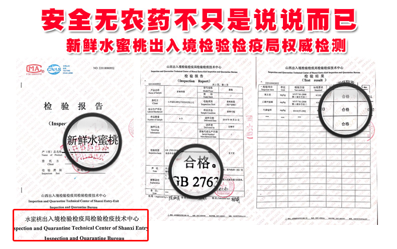 新鲜水蜜桃 现货5斤水果脆桃整箱装桃子大应当季时令毛桃带箱