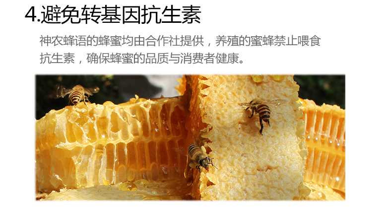 【神农蜂语 洋槐蜜】 农家自产蜂蜜500g玻璃瓶槐花蜜野生百花土蜂蜜