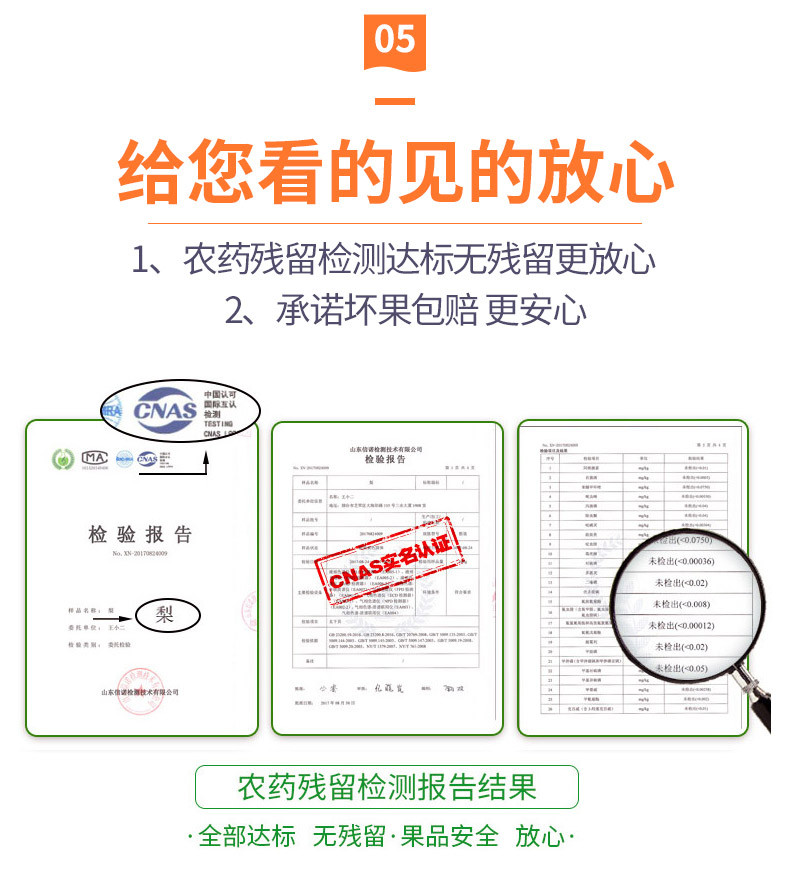 【坏果包赔】红香酥梨当季水果梨子10斤 新鲜脆香梨应季非库尔勒香梨