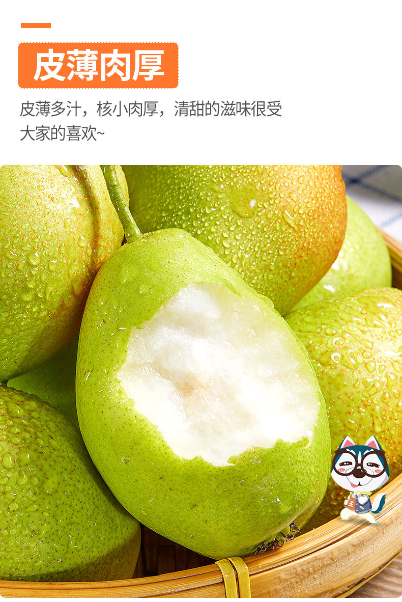 【坏果包赔】红香酥梨当季水果梨子10斤 新鲜脆香梨应季非库尔勒香梨