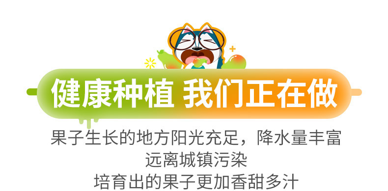 【坏果包赔】红香酥梨当季水果梨子10斤 新鲜脆香梨应季非库尔勒香梨