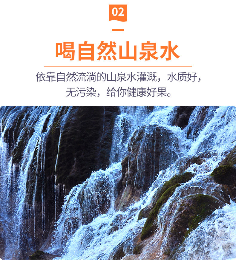 【坏果包赔】红香酥梨当季水果梨子10斤 新鲜脆香梨应季非库尔勒香梨