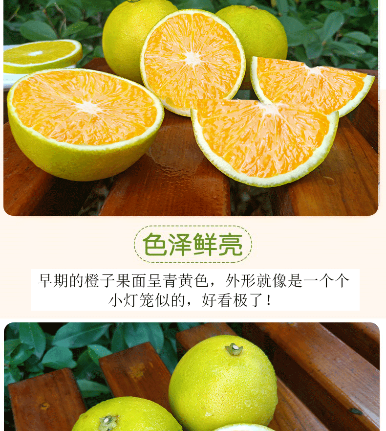云南冰糖橙10斤  带箱橙子新鲜当季应季脐橙水果比赣南夏橙柑橘甜