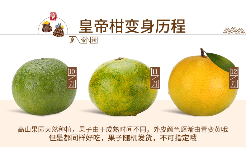【坏果包赔】广西皇帝柑10斤 中大果橘子当季新鲜水果蜜橘桔子黄帝贡柑