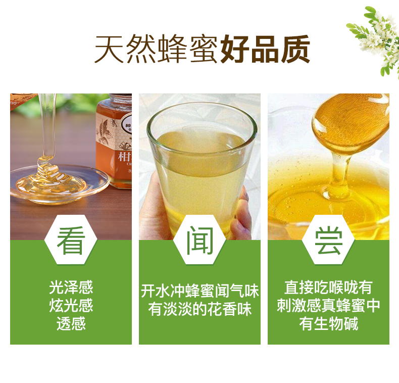 【 神农蜂语 柑橘花蜜500g】天然野生土蜂蜜农正宗百花蜜峰糖瓶装原蜜