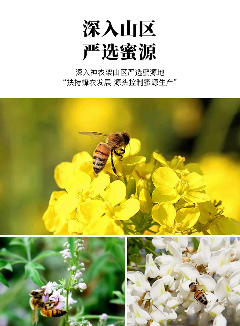 【 神农蜂语 柑橘花蜜500g】天然野生土蜂蜜农正宗百花蜜峰糖瓶装原蜜