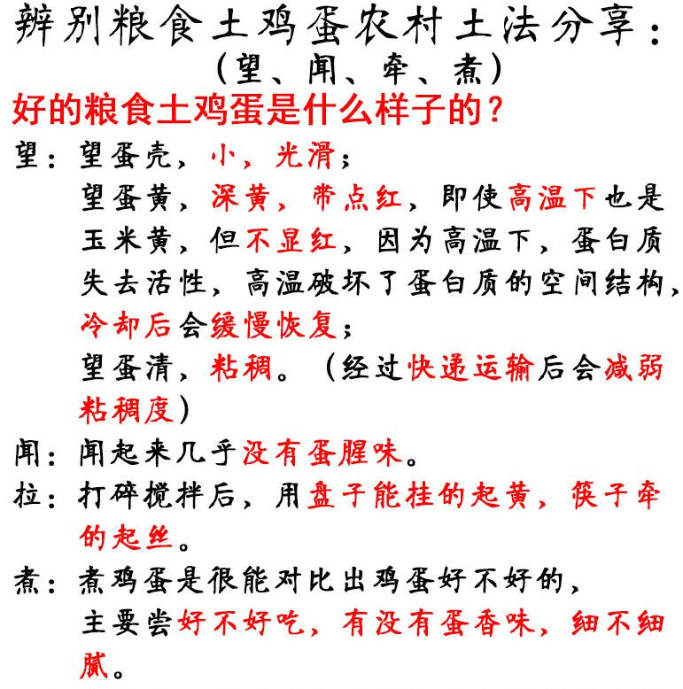 【四川广安馆】【岳池特产】32枚高垭口粮食土鸡蛋农家散养鲜鸡蛋新鲜包邮农村自养笨草柴鸡蛋