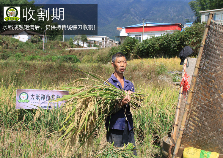 【邮乐江西馆】水木清华，禅韵靖安 乡村风山泉大米