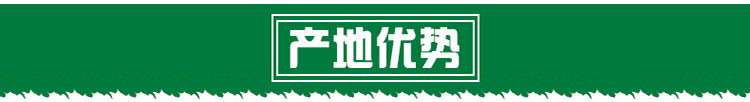 友贻 云南镇雄特产 野生纸皮有机孕妇大核桃 无添加 无漂洗 坚果零食 礼品包装2KG