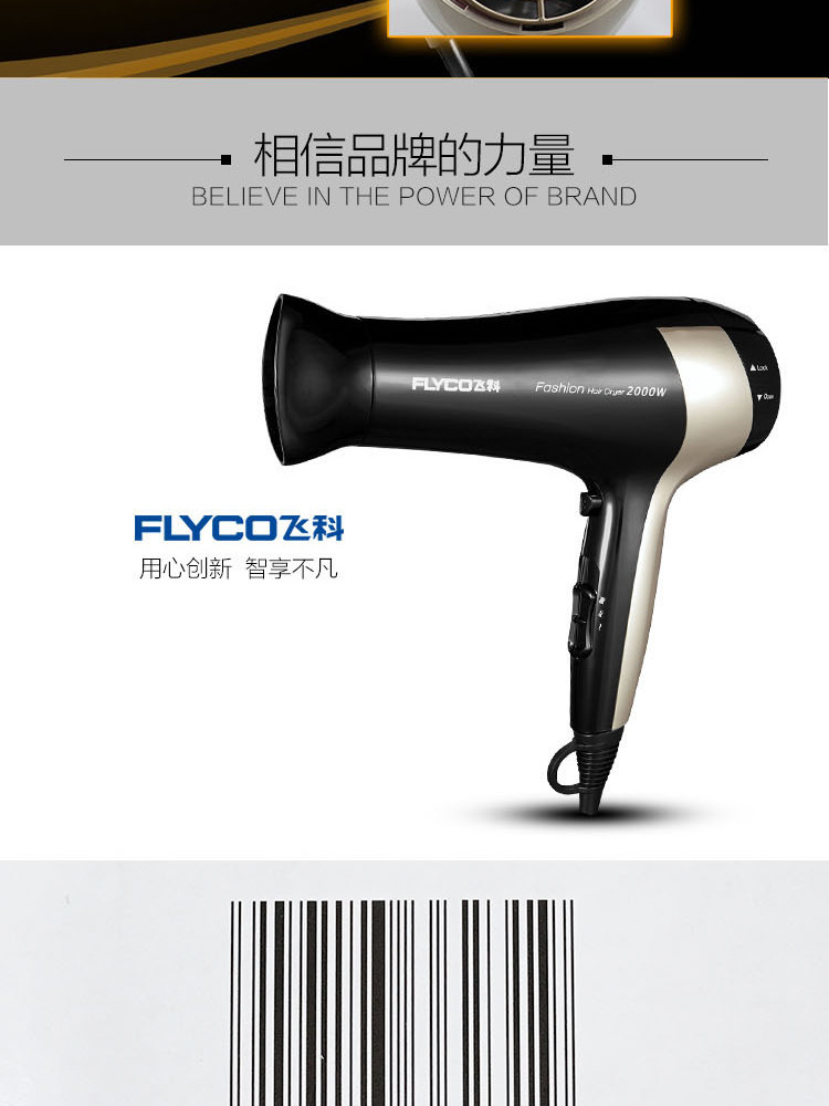 飞科/FLYCO 家用大功率电吹风发 2000W冷热风吹风筒FH6231 吹风机