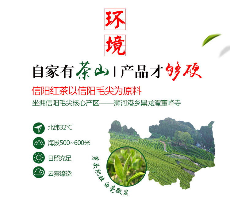 【信阳邮约会】志游信阳红茶 分享款 精选高山云雾茶 125g精致铁盒 正宗浉河港黑龙潭 自有茶山 手