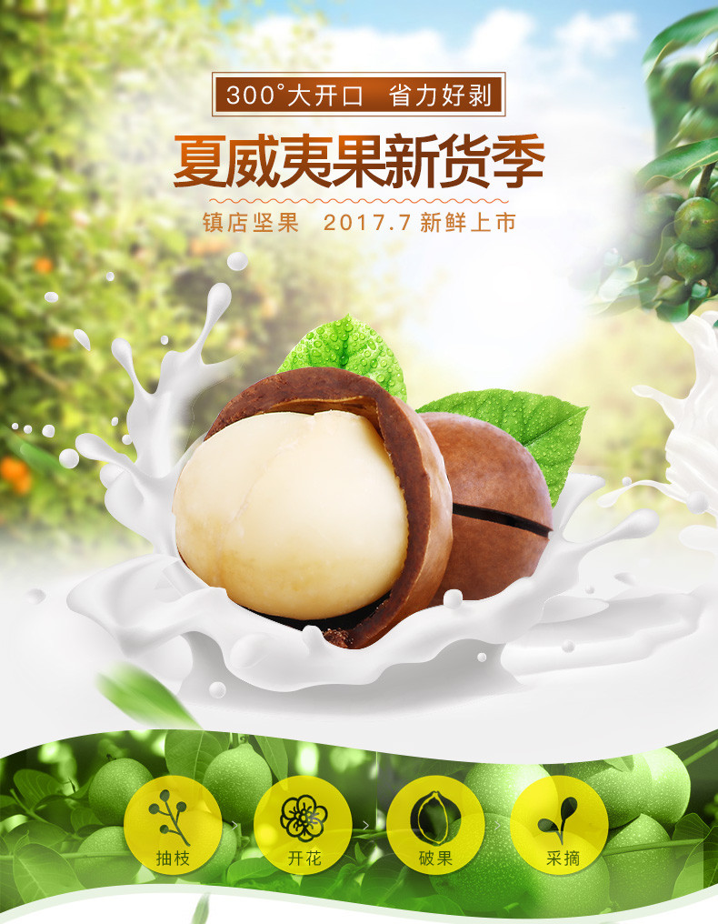 【信阳邮约会~息县】百草味 夏威夷果(奶油味)  200g*2袋 包邮