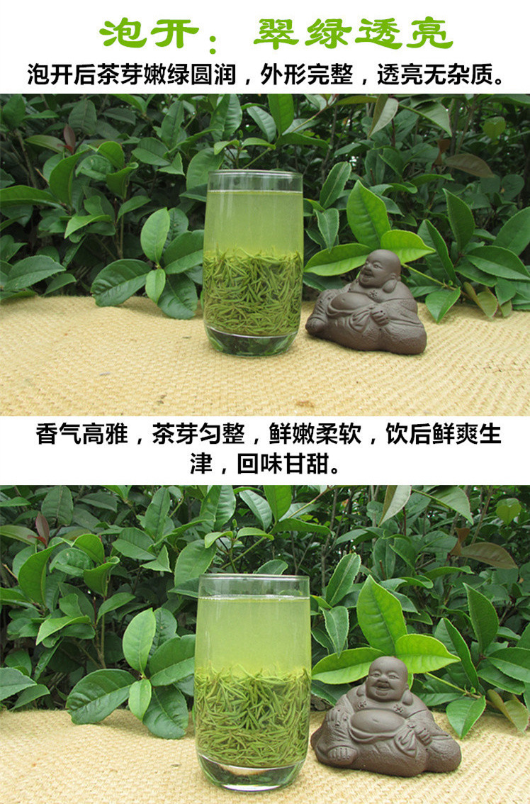 信阳特产-手工炒制精品茶