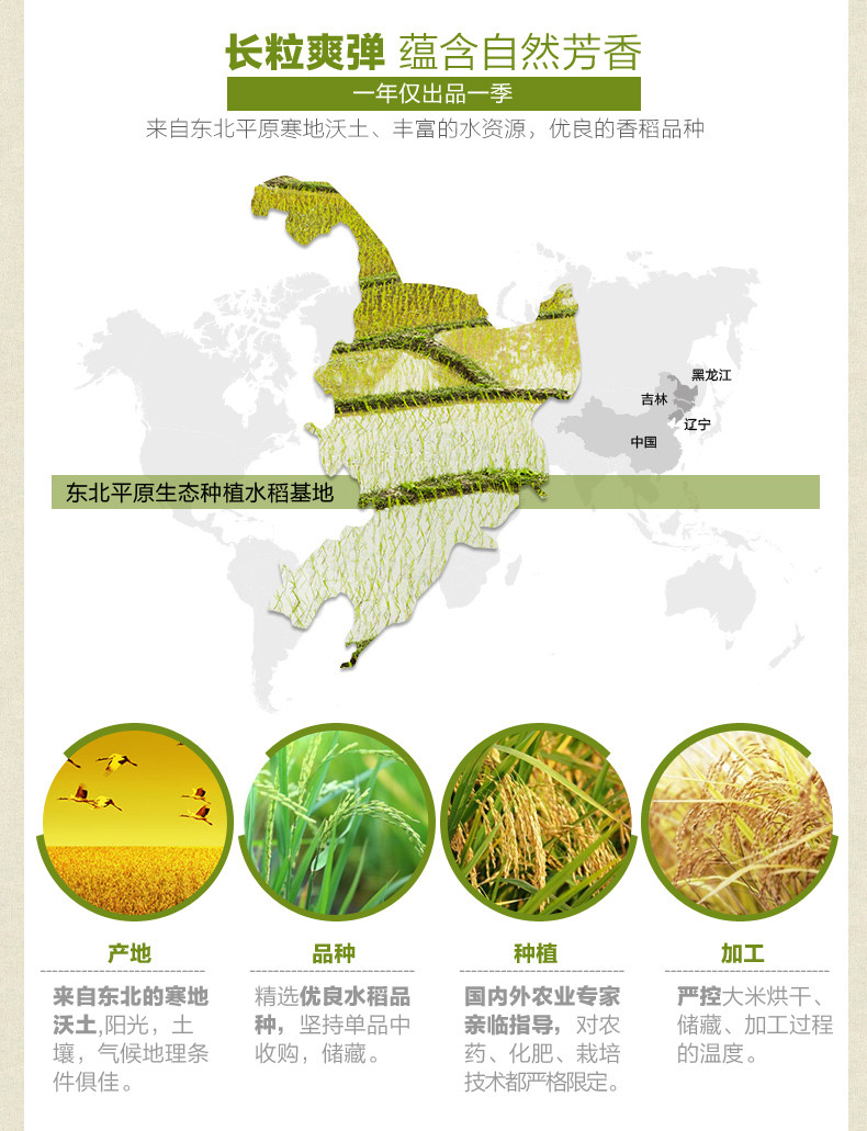 金龙鱼 金龙鱼清香稻5KG