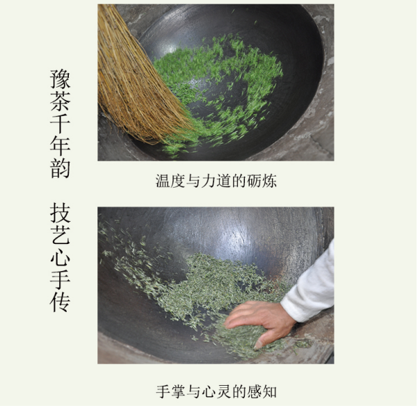 【信阳邮约会】羚锐茶益精气神信阳毛尖茶（商城雪芽）明前特级100g