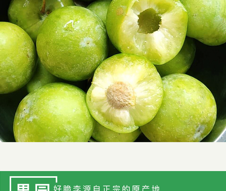 预售四川青脆李宣汉清脆李子脱骨李子新鲜水果生鲜绿色食品5斤普通装