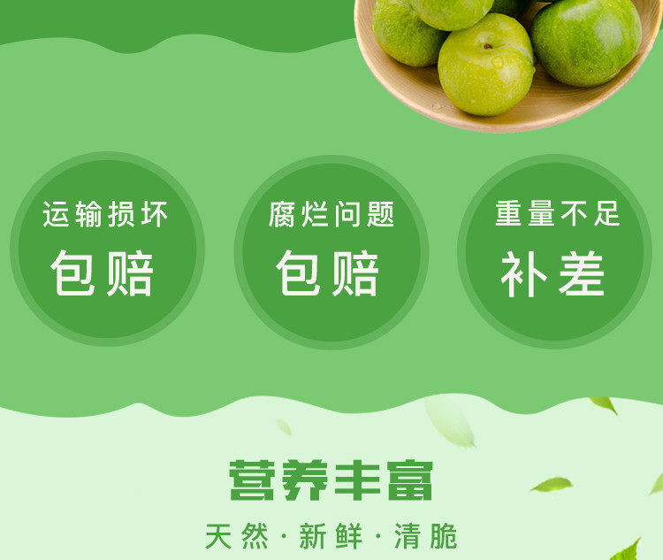 预售四川青脆李宣汉清脆李子脱骨李子新鲜水果生鲜绿色食品5斤普通装