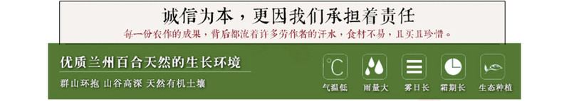 【邮乐 兰州馆】兰州百合二头皇2.5kg——正宗“9年生”