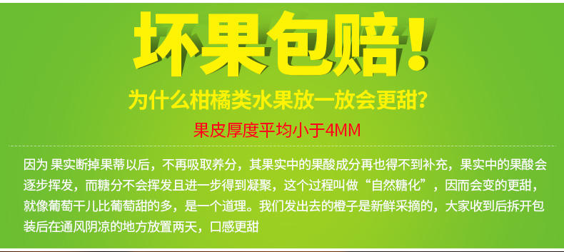 晓曦红 爱媛新鲜水果柑橘 杂柑 桔子蜜桔橘子 现摘现发 5斤包邮