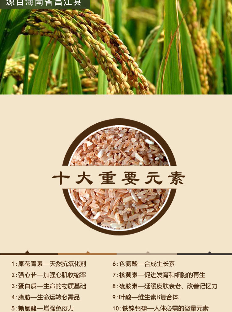 海南昌江 原生态 山兰米 野生旱稻香米 750g装