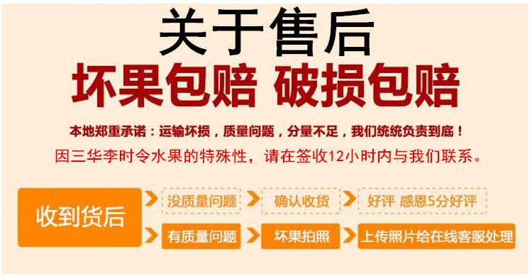 【预售】广东香格里拉新丰三华李现摘现发3斤装包邮