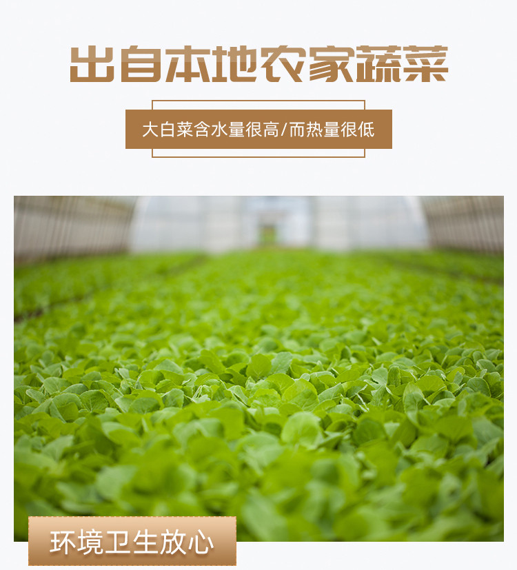 战疫助农 邵阳市区专供叶子菜大礼包小白菜2斤+菜苔2斤+大白菜6斤（正负0.5斤）