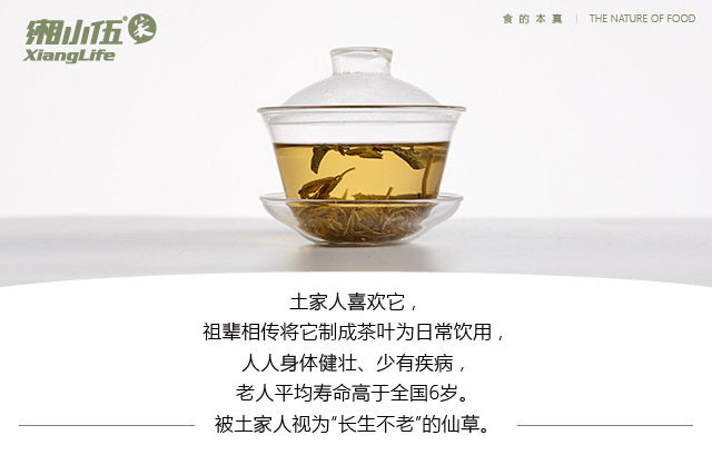 【邮乐张家界馆】湘小伍 长寿藤-初 100g