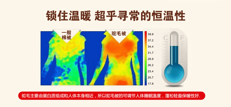 【2019新春积分兑礼】梁恬润 羊毛被 （仅限张家界市金融积分兑换，不对外销售）